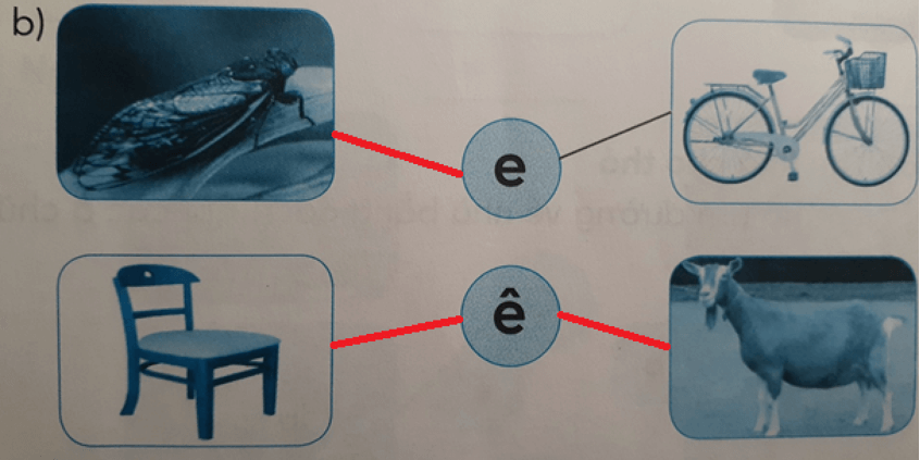 Tiếng Việt lớp 1 Tuần 1 Tiết 2 C c dấu sắc E e Ê ê trang 6, 7 (Dành cho buổi học thứ hai)