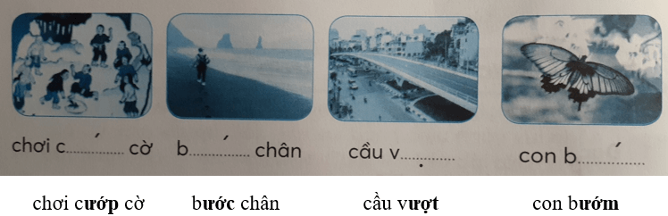 Tiếng Việt lớp 1 Tập 1 Tuần 15 Tiết 1 ươc ươt ươm ươp trang 61, 62 (Dành cho buổi học thứ hai) (ảnh 1)