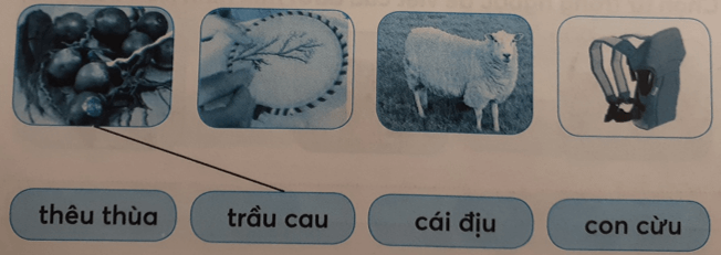 Tiếng Việt lớp 1 Tập 1 Tuần 9 Tiết 2 au âu êu iu ưu trang 38, 39 (Dành cho buổi học thứ hai) (ảnh 1)