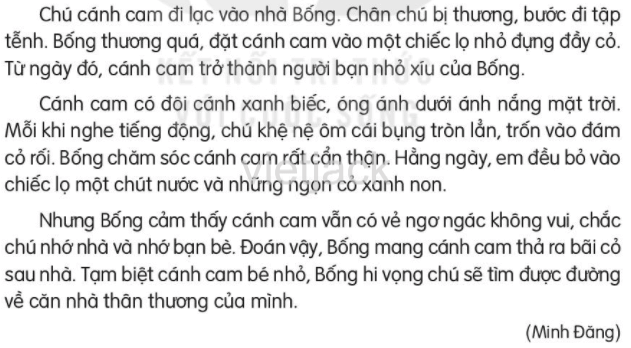 Tạm biệt cánh cam trang 64, 65