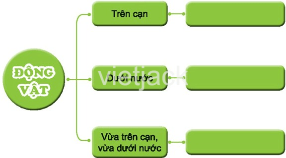 Bài 17: Động vật sống ở đâu