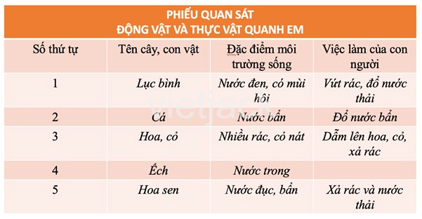 Bài 19: Thực vật và động vật quanh em