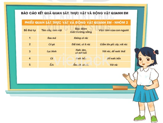 Bài 19: Thực vật và động vật quanh em