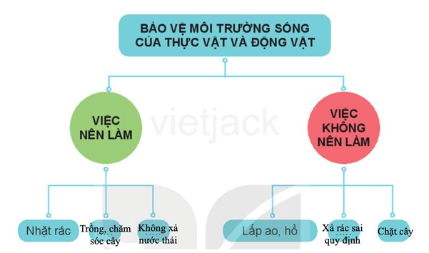 Bài 19: Thực vật và động vật quanh em