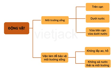 Bài 20: Ôn tập chủ đề Thực vật và động vật