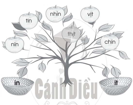 Vở bài tập Tiếng Việt lớp 1 trang 49 Bài 64: in, it | Cánh diều