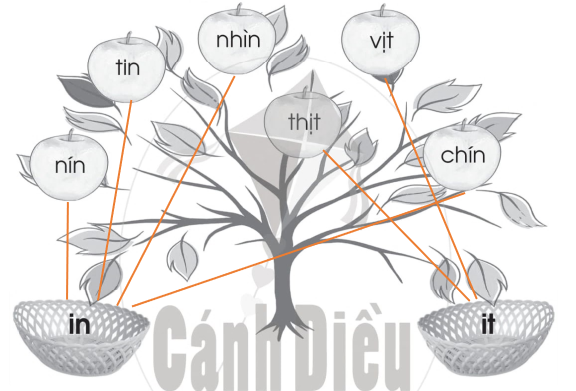 Vở bài tập Tiếng Việt lớp 1 trang 49 Bài 64: in, it | Cánh diều