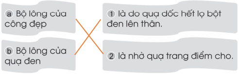 Vở bài tập Tiếng Việt lớp 1 trang 63 Bài 85: ông, ôc | Cánh diều