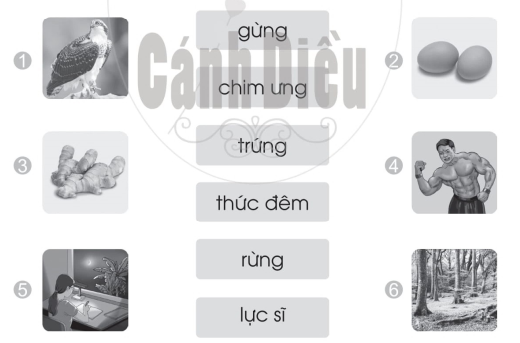 Vở bài tập Tiếng Việt lớp 1 trang 65, 66 Bài 89: ưng, ưc | Cánh diều