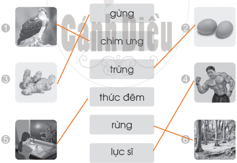 Vở bài tập Tiếng Việt lớp 1 trang 65, 66 Bài 89: ưng, ưc | Cánh diều