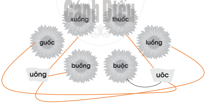 Vở bài tập Tiếng Việt lớp 1 trang 66, 67 Bài 90: uông, uôc | Cánh diều