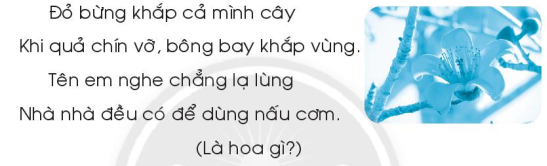 Giải Vở bài tập Tiếng Việt lớp 1 trang 5, 6, 7 Chủ đề 19: Ngàn hoa khoe sắc - Chân trời sáng tạo