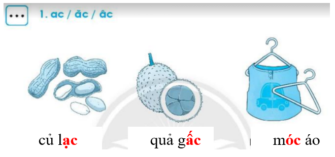 Vở bài tập Tiếng Việt lớp 1 trang 30, 31, 32, 33 Chủ đề 9: Vui học - Chân trời sáng tạo