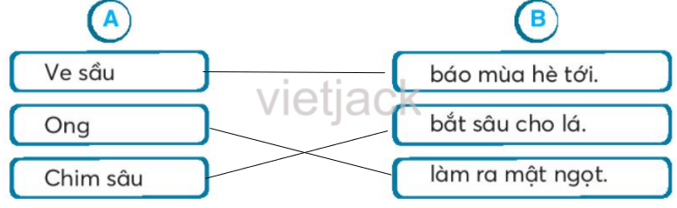 Bài 16: Tạm biệt cánh cam