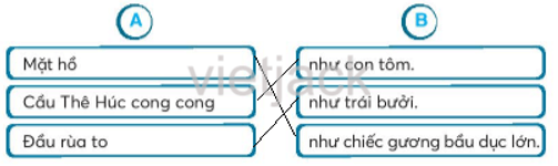 Bài 29: Hồm Gươm