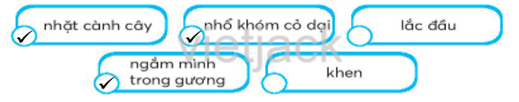 Bài 5: Em có xinh không