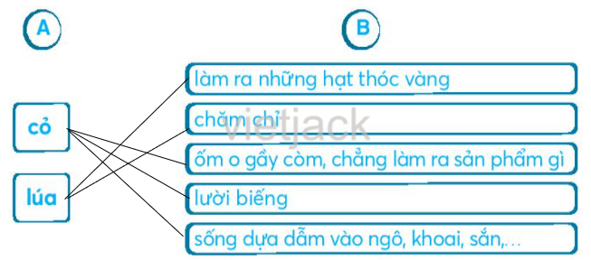 Ôn tập và đánh giá cuối học kỳ 1